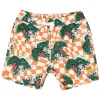 BOY ROCK YOUR BABY Swim | Dinosaurs-CHECKERED DINO SWIM TRUNKS