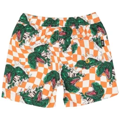 BOY ROCK YOUR BABY Swim | Dinosaurs-CHECKERED DINO SWIM TRUNKS