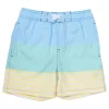 BOY SHADE CRITTERS Swim | Swim-COLORBLOCK STRIPE SWIM TRUNKS