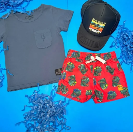 BOY ROCK YOUR BABY Swim | Dinosaurs-DINO SHADE SWIM TRUNKS