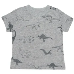 BOY CHASER KIDS Tops | Dinosaurs-DINO TSHIRT