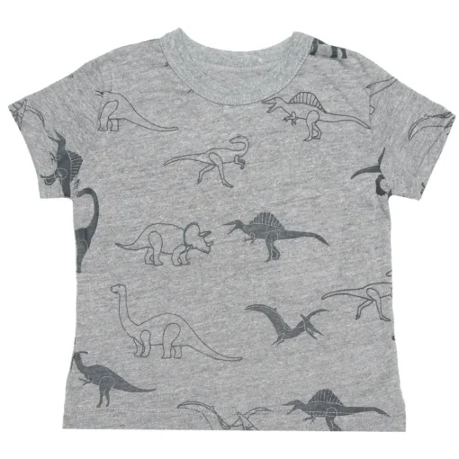 BOY CHASER KIDS Tops | Dinosaurs-DINO TSHIRT