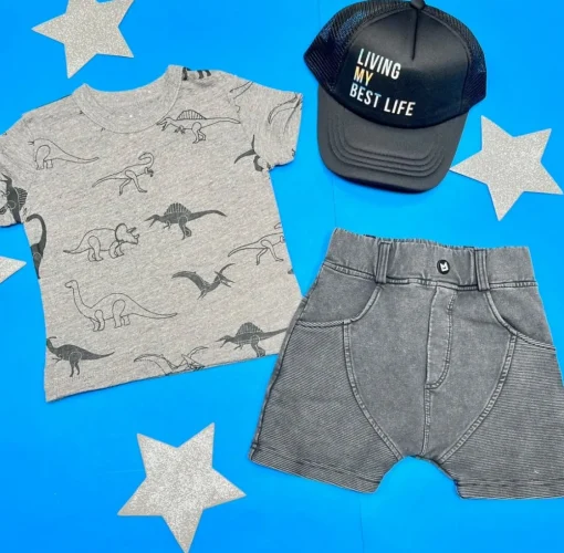 BOY CHASER KIDS Tops | Dinosaurs-DINO TSHIRT