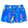 BOY BOARDIES Swim | Swim-SEAHORSE SWIM TRUNKS